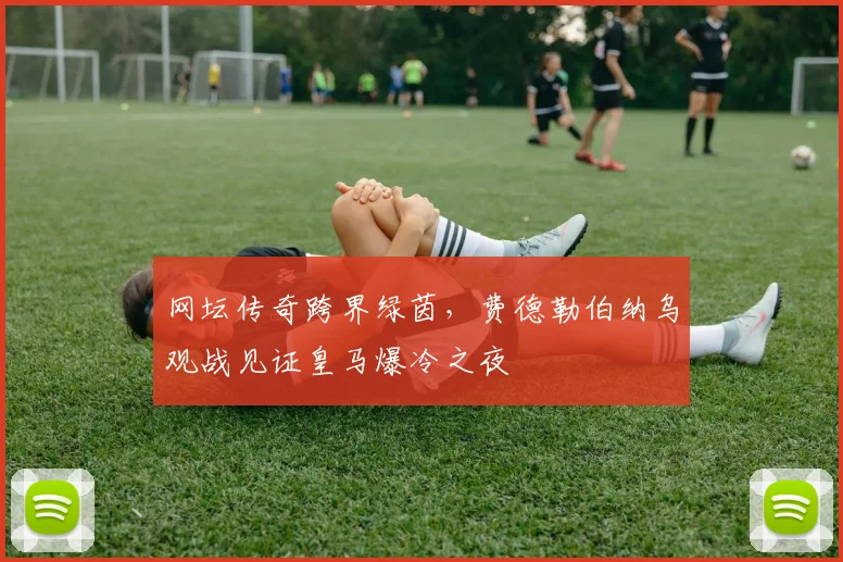 网坛传奇跨界绿茵，费德勒伯纳乌观战见证皇马爆冷之夜 - kaiyun